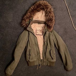 Hollister Winter Jacket/Coat